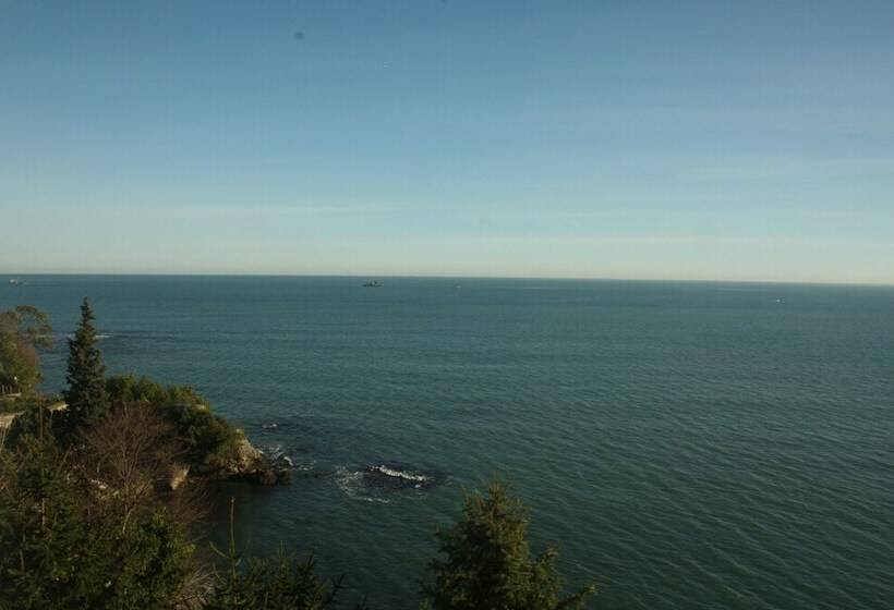 غرفة قياسية, Baliktasi