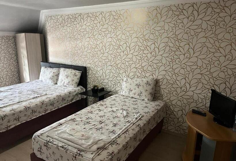 Suite, Balkan Palace Edirne