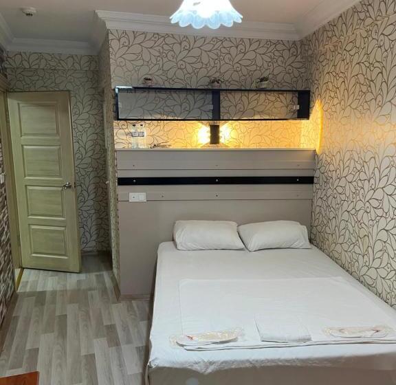 Habitación Estàndard Individual, Balkan Palace Edirne