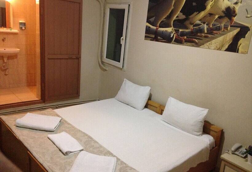 اتاق استاندارد سه نفره, Caylan