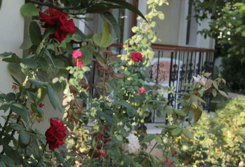 Habitació Estàndard, Crescent Hasirci