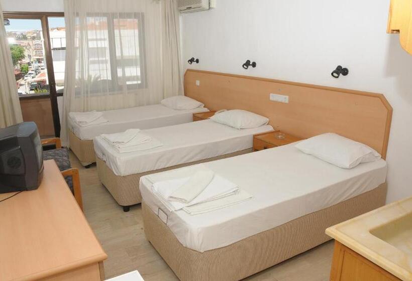 اتاق استاندارد سه نفره, Goren