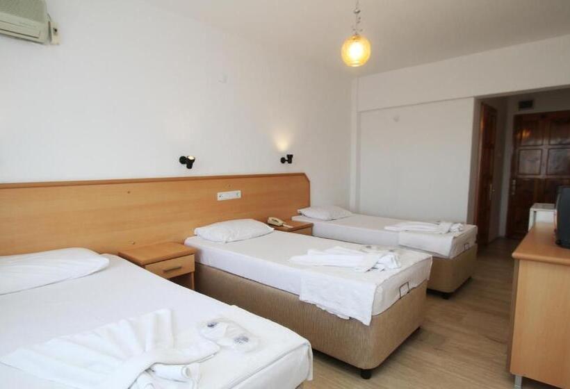 اتاق استاندارد سه نفره, Goren