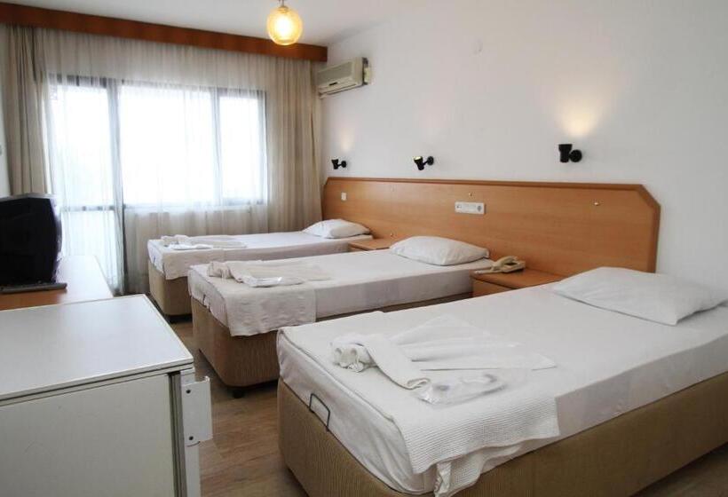 اتاق استاندارد سه نفره, Goren