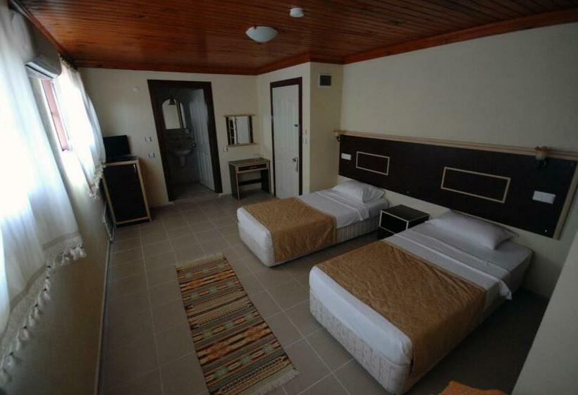 غرفة إقتصادية, Hamle