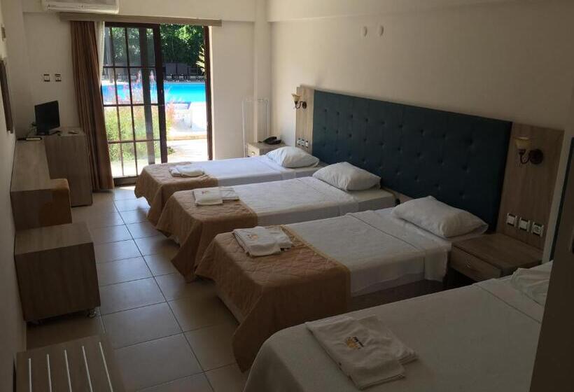 غرفة قياسية رباعية, Hamle