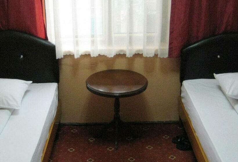 اتاق استاندارد, Necmi