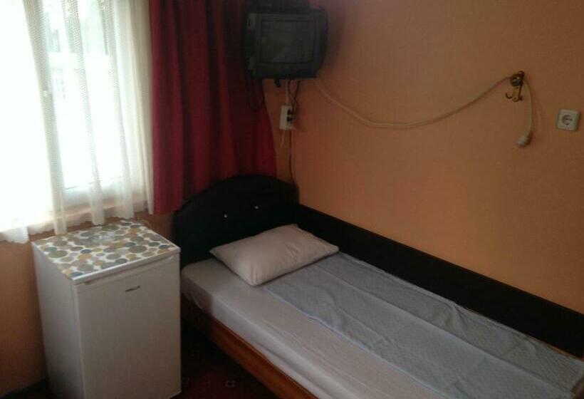 اتاق استاندارد سه نفره, Necmi