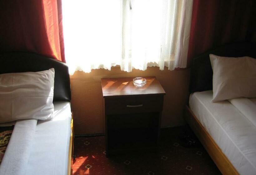 اتاق استاندارد, Necmi