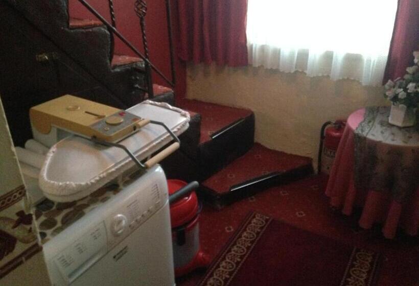 اتاق استاندارد چهارنفره با سرویس بهداشتی مشترک, Necmi