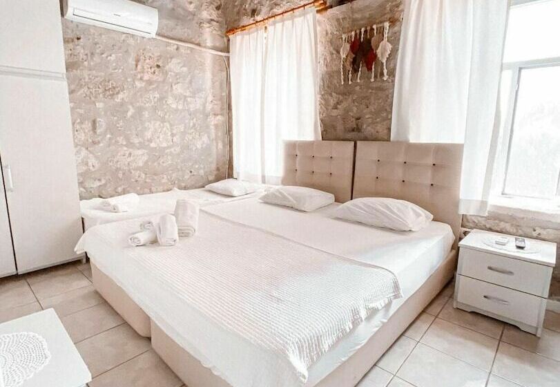 غرفة قياسية, Radika