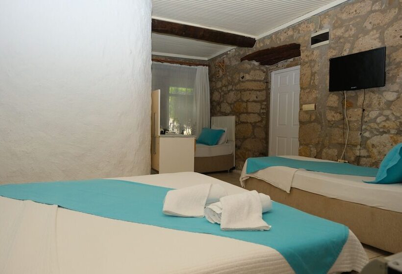 غرفة قياسية رباعية, Radika