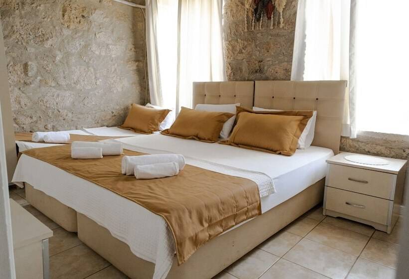 غرفة قياسية ثلاثية, Radika