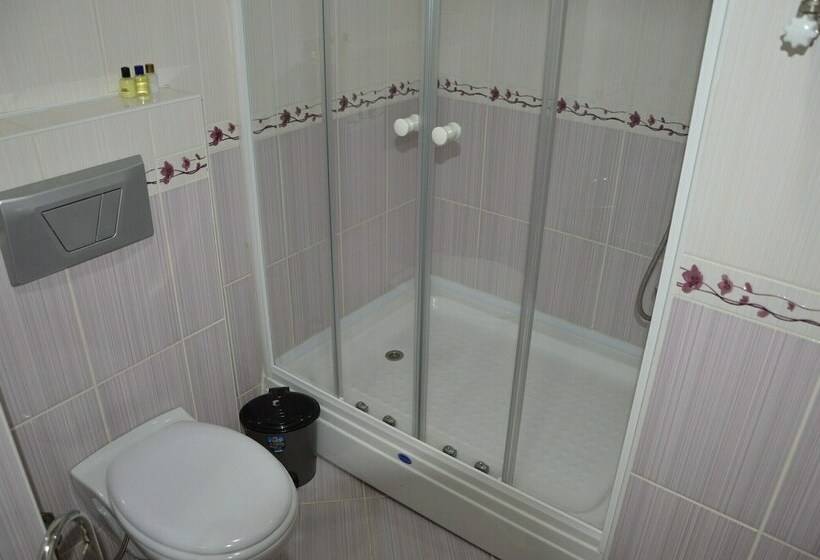 غرفة قياسية, Remay