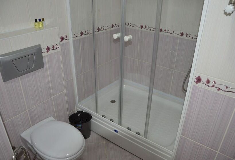 غرفة قياسية, Remay