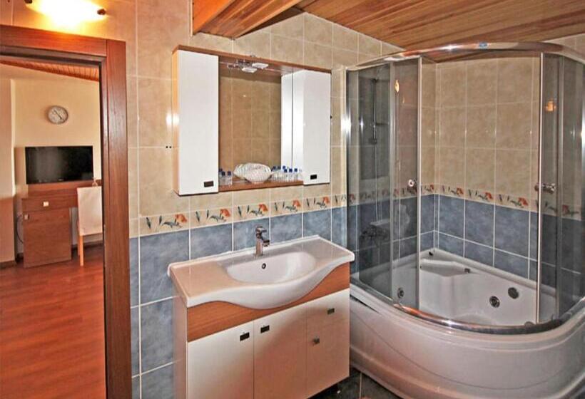 اتاق استاندارد, Ucem