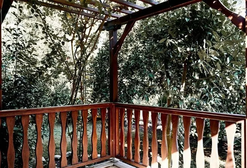 آپارتمان 1 خوابه, Azur