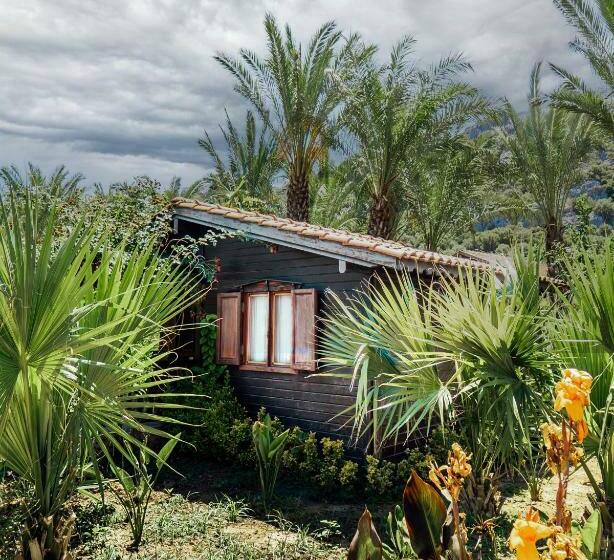 آپارتمان 1 خوابه, Azur