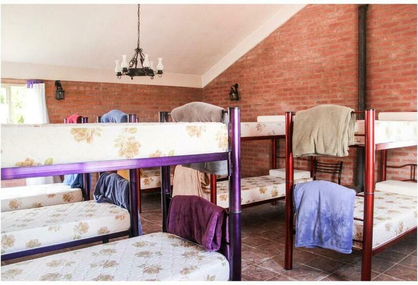 Seng i Delt Værelse, El Camino Hostel