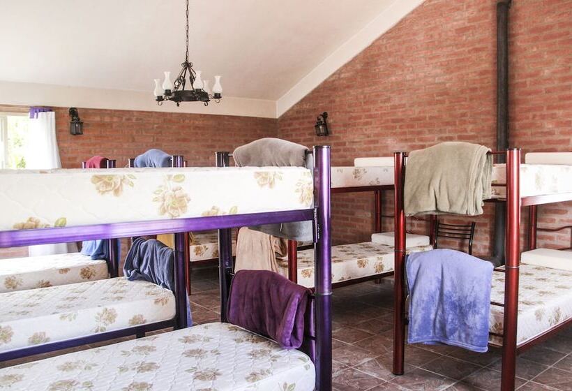 Seng i Delt Værelse, El Camino Hostel