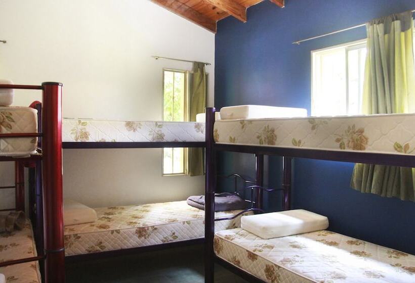 Seng i Delt Værelse, El Camino Hostel
