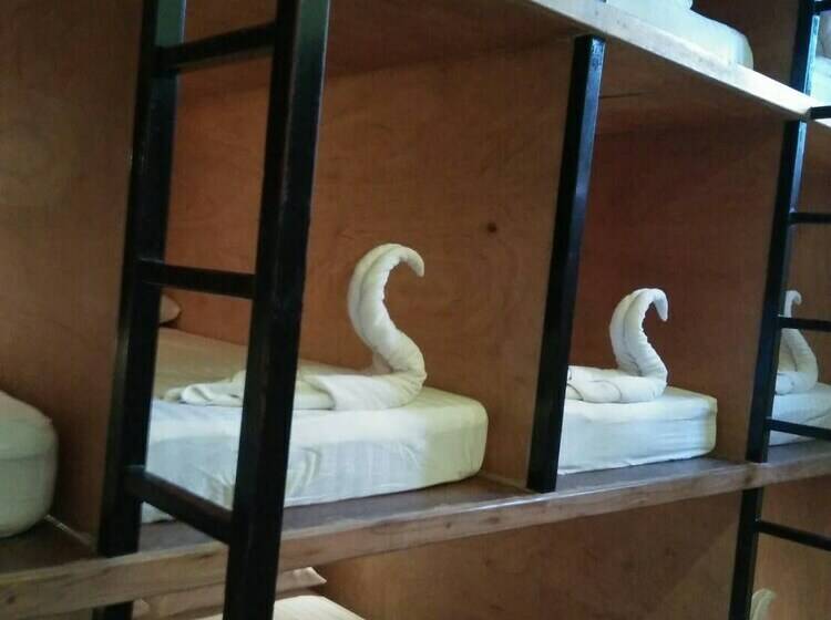 ルームシェアのワンベッド, Gecko Republic Jungle Hostel