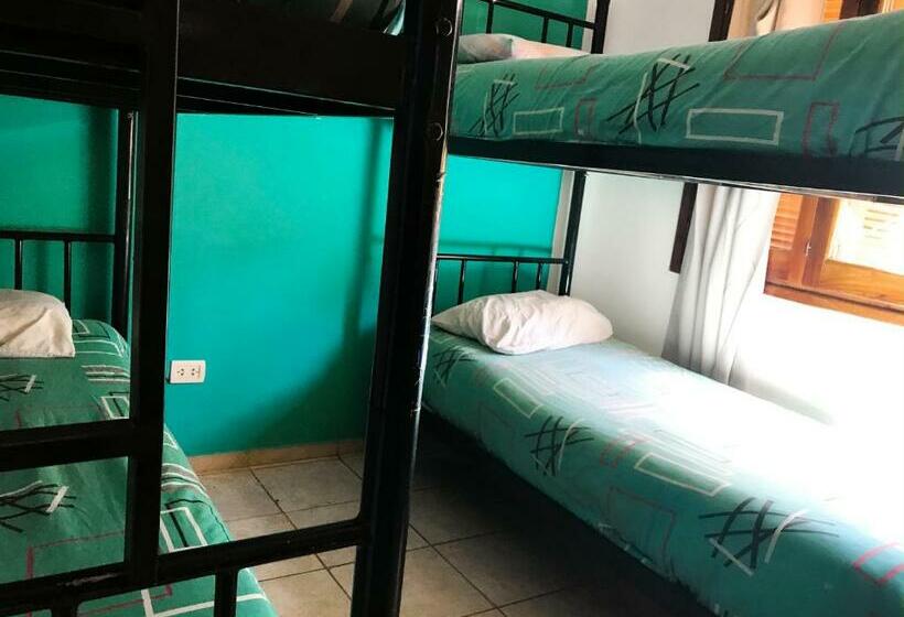 스탠다드 4인용 룸 공용 욕실, Hostel Punto Patagonico