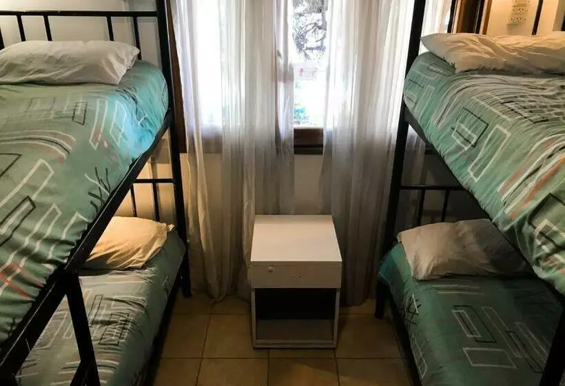 اتاق استاندارد چهارنفره با سرویس بهداشتی مشترک, Hostel Punto Patagonico