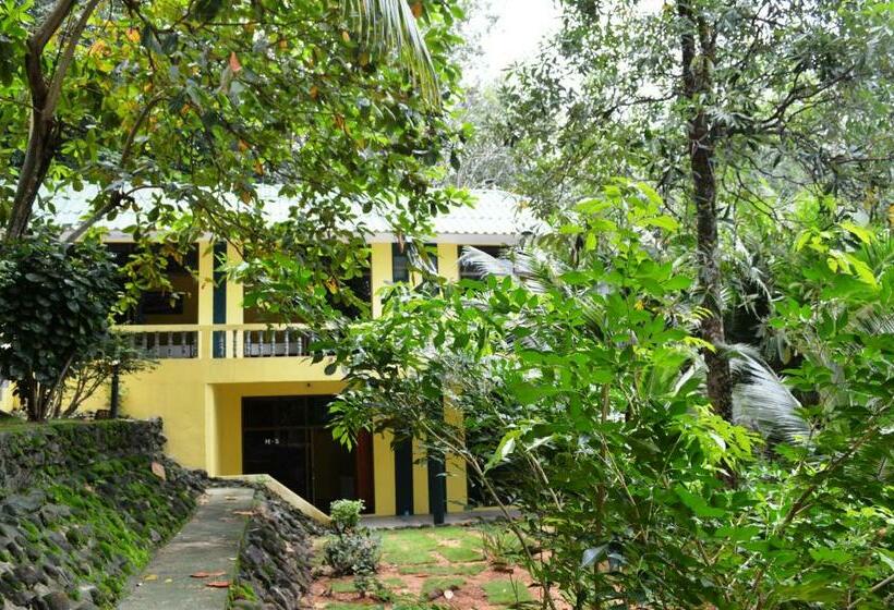 Номер Deluxe, Island Lodge