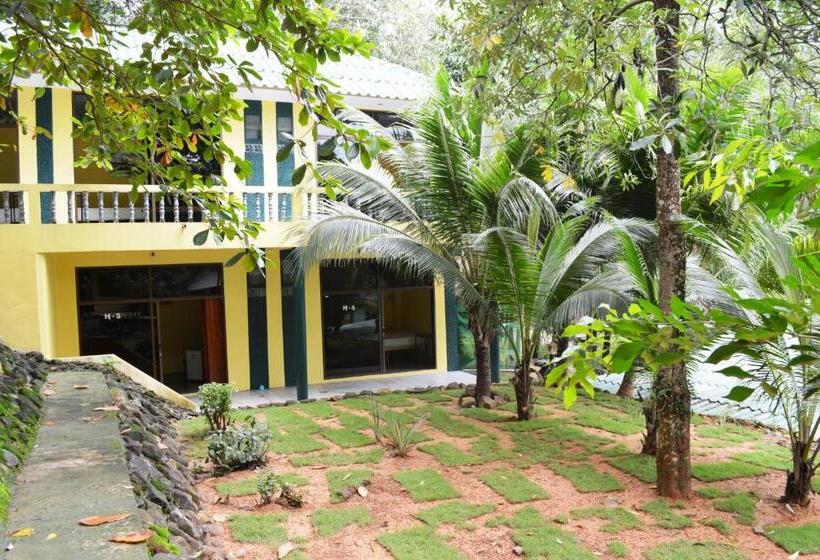 Номер Deluxe, Island Lodge