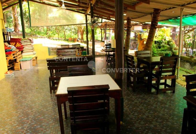 Семейный Номер Superior, Island Lodge