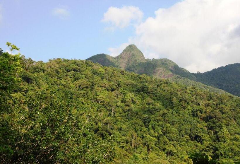 Семейный Номер Superior, Island Lodge