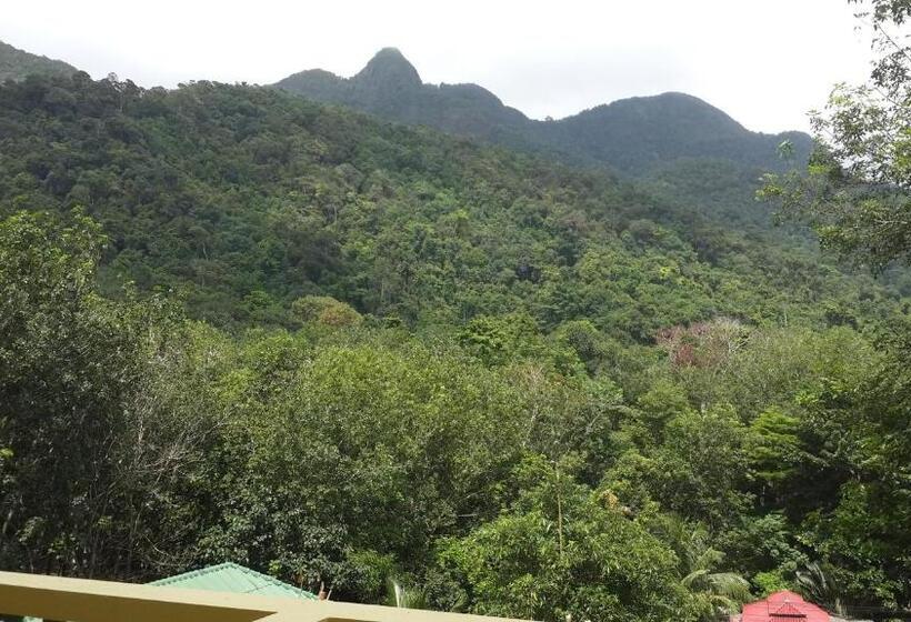 Семейный Номер Superior, Island Lodge