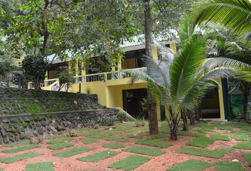 Номер Deluxe, Island Lodge