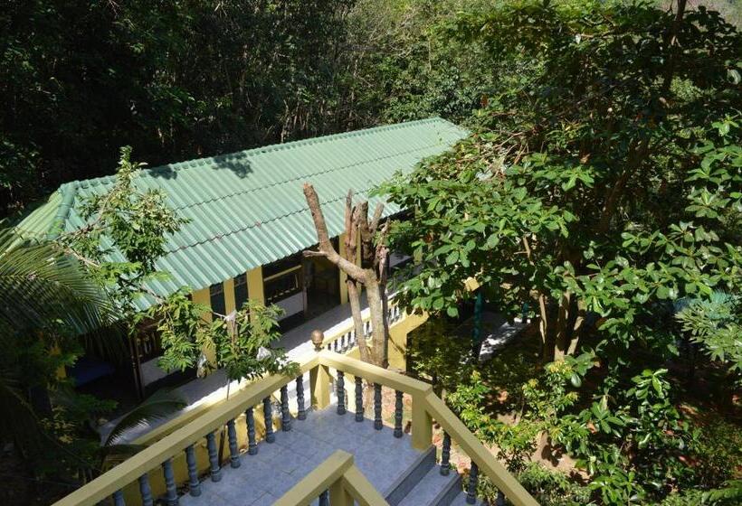 Номер Deluxe, Island Lodge