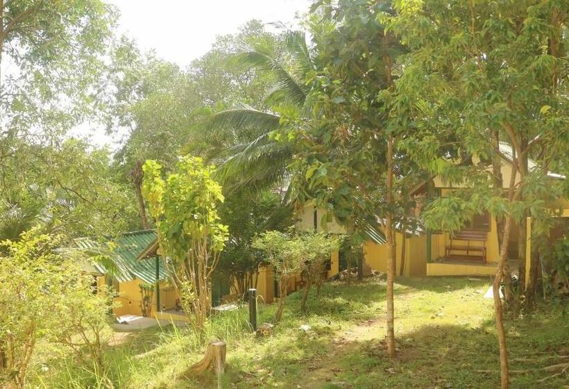 Номер Deluxe, Island Lodge