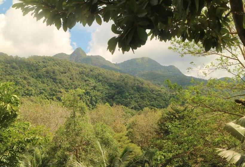 Семейный Номер Superior, Island Lodge