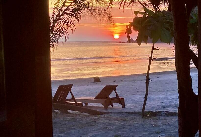 豪华工作室, Ailay