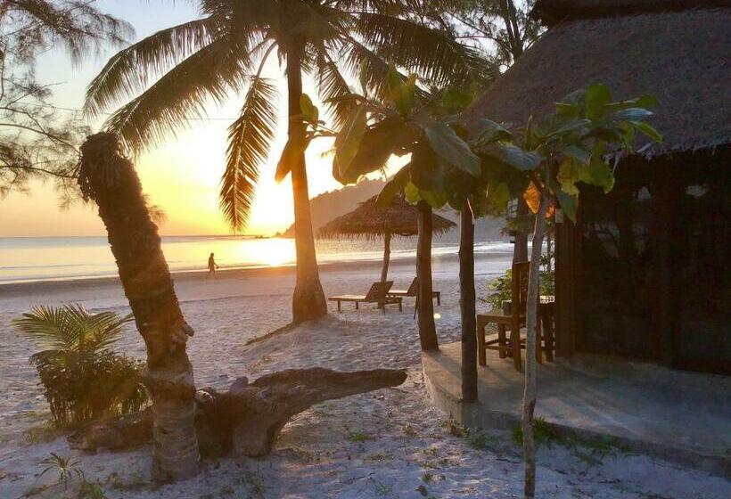 豪华工作室, Ailay