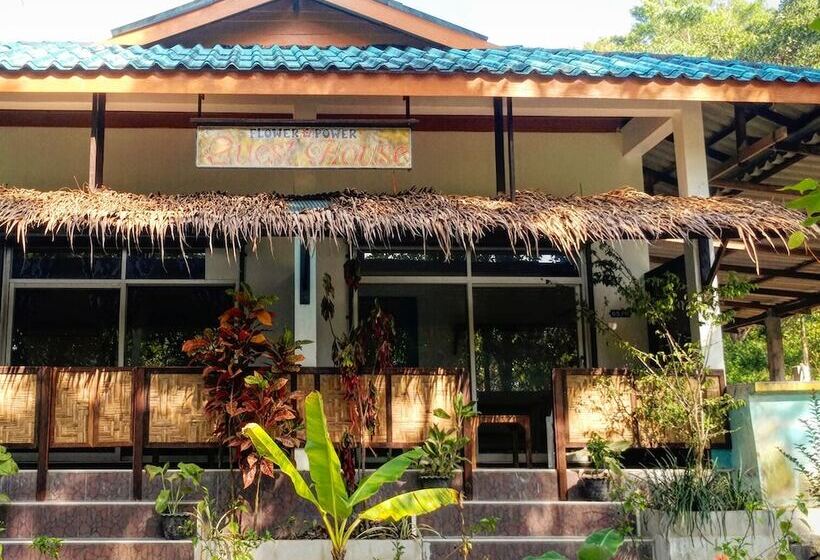 غرفة عائلية, Flower Power Farm Village