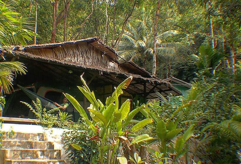 كوخ ديلوكس, Flower Power Farm Village