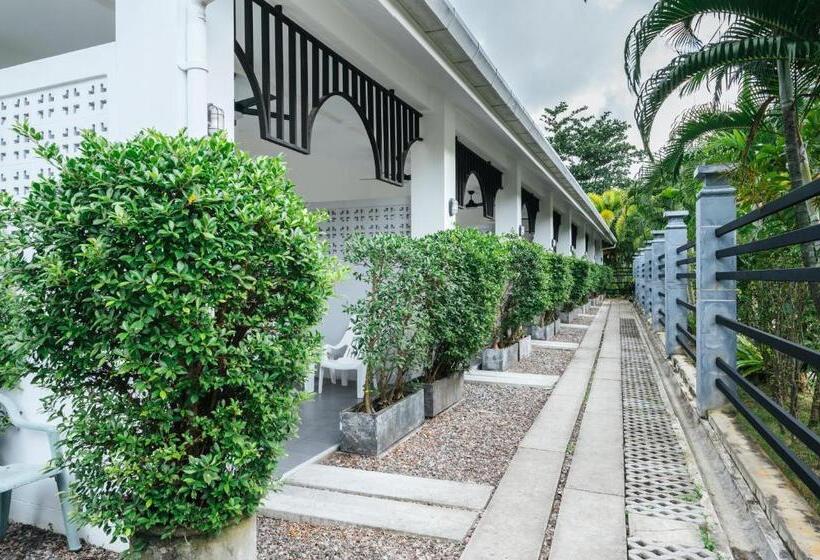 스탠다드 스튜디오, Vivace