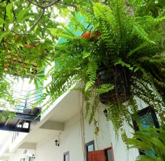 Номер Superior, Wandee Bed & Breakfast