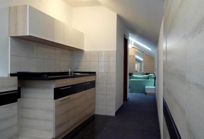 آپارتمان 1 خوابه, Garni Hotel Consul