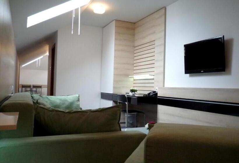 آپارتمان 1 خوابه, Garni Hotel Consul