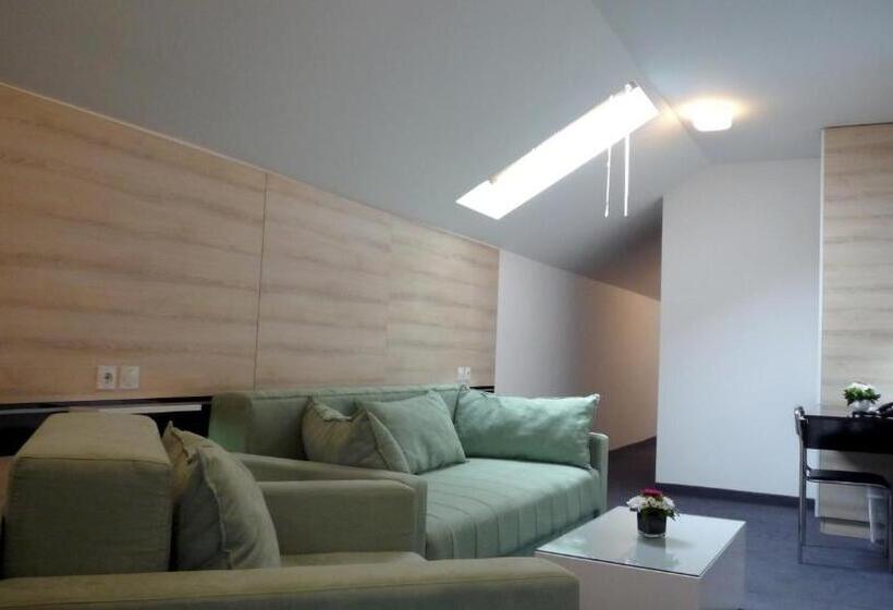 آپارتمان 1 خوابه, Garni Hotel Consul