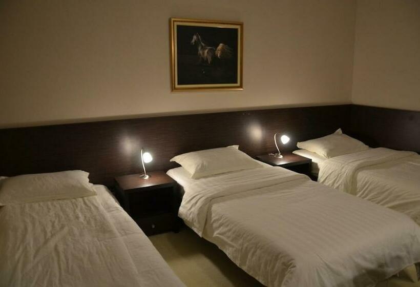 اتاق استاندارد سه تخته با بالکن, Golf Luxury