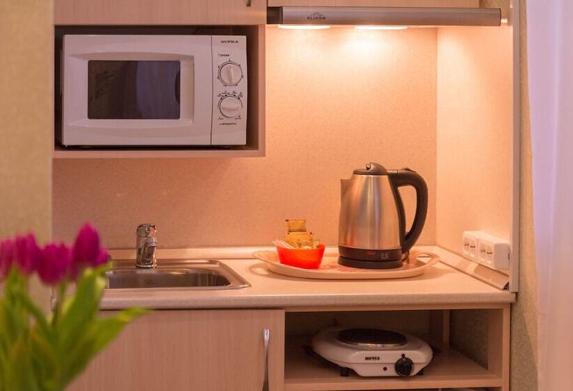 １ベッドルームのデラックスアパートメント, Aroom Hotel On Kitay Gorod