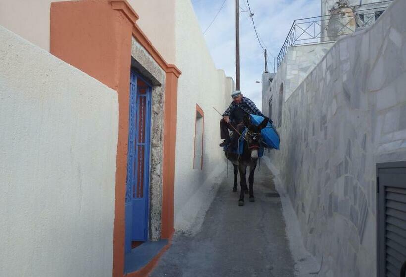 Apartamento 1 Dormitorio, Emmantina