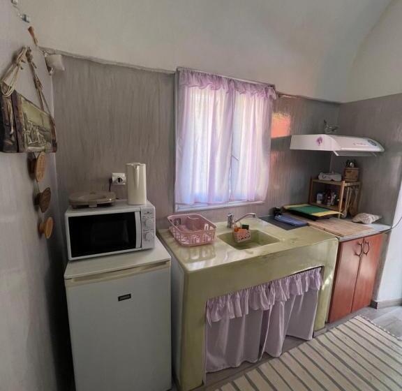 Apartamento 1 Dormitorio, Emmantina